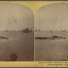 Regatta of the New York and Eastern Yacht clubs, off Swampscott, August 14, 1871.