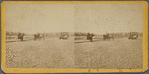 Paving of Lenox Ave. no. of Central Park.