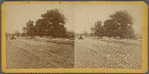 Paving of Lenox Ave. north of Central Park.