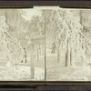 Grove scenery - winter.