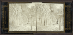 Grove scenery - winter.