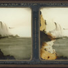 Horseshoe Falls, fr. bel. Biddle's staircase.