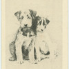 Little mischiefs.