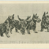 A cabinet meeting.