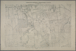 Sheet No. 31. [Includes Castleton Corners and Todt Hill.]