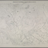 Sheet No. 40. [Includes Dongan Hills, Fingerboard Road, Richmond Road, Duncan Street, Oakdale Avenue, (Emerson Hill, Old Town)Linden Park.]