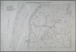 Sheet No. 43. [Includes Wild Avenue, Linoleumville (Travis).]