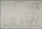 Sheet No. 89. [includes Allentown Lane(Charleston), Pleasant Plains Avenue, Bloomingdale Avenue and (Seguine Avenue) Seguine Road in Pleasant Plains.]