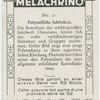 Polynesische Schönheit.
