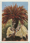 Swazi-Kaffer aus Südafrika.