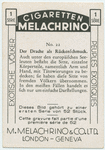 Der Drache al Rückenschmuck.
