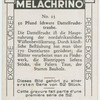 Pfund schwere Dattelfruchttraube.