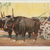 Sardinischer Bauer.
