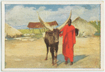 Ostafrikanisches Langhornrind.