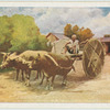 Transportwagen auf Formosa.