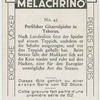 Persicher Gitarrespieler in Teheran.
