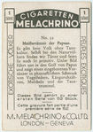 Meistertänzer der Papuas.