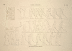 Djébel-Selséléh [Gebel el-Silsila]. Grand spéos, suite du tableau précédent.