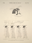 Thèbes, Biban-el-Molouk [Thebes, Biban el-Muluk]. Tombeau de Ménephtha Premier, suite et fin de la frise précédente.