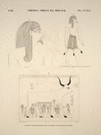 Thèbes, Biban-el-Molouk [Thebes, Biban el-Muluk]. Figure scène dessinées dans le tombeau de Ménephtha Premier.