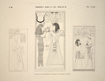 Thèbes, Biban-el-Molouk [Thebes, Biban el-Muluk]. Suite de sujets dessinées dans le tombeau de Ménephtha Premier.