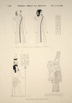 Thèbes, Biban-el-Molouk [Thebes, Biban el-Muluk]. Figures copiées dans les tombes royales.