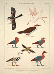 Béni-Hassan el-Qadim [Beni Hasan]. Peintures copiées dans les tombes de Névôthph et de Ménothph.