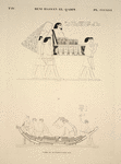 Béni-Hassan el-Qadim [Beni Hasan]. Tombe de Névôthph, paroi sud.