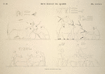 Béni-Hassan el-Qadim [Beni Hasan]. Tombe de Névôthph, paroi nord.