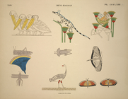 Index
