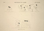 Béni-Hassan el-Qadim [Beni Hasan]. Tombe de Névôthph, paroi est.