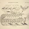 Béni-Hassan el-Qadim [Beni Hasan]. Tombe de Nevôthph.