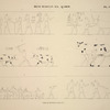 Béni-Hassan el-Qadim [Beni Hasan]. Tombe de Ménôthph, paroi sud.