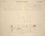 Béni-Hassan el-Qadim [Beni Hasan]. Tombeau de Nevôthph, paroi sud.