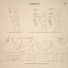 Sakkarah [Saqqarah]. Peintures copiées dans le tombeau de Ménofré.