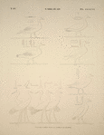 Sakkarah [Saqqarah]. Peintures copiées dans le tombeau de Ménofré.