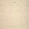 Gizéh [Giza]. 1-4. Peintures copiées dans le tombeau de Ménofré; 5. Tombe d'Eïmei.