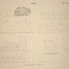 Gizéh [Giza]. Suite des peintures de la tombe d'Eïmai.