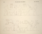 Plaine des pyramides. Scènes copiées dans les tombeaux.