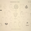 Collection des vases. D'après les peintures ou les originaux.