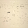 Collection des vases. D'après les peintures ou les originaux.
