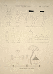 Collection des vases. D'après les peintures ou les originaux.