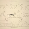 Figures d'animaux. D'après les peintures originales.