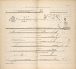 Sections to illustrate Sir G. Wilkinson's paper on the levels of Egypt.