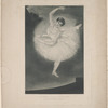 The cachucha as danced by Mademoiselle Duvernay, with Une valse sentimentale by A. Flèche.