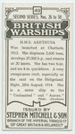H.M.S. Arethusa.