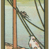 Fables
