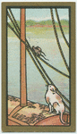Fables