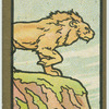 Fables