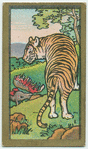 Fables